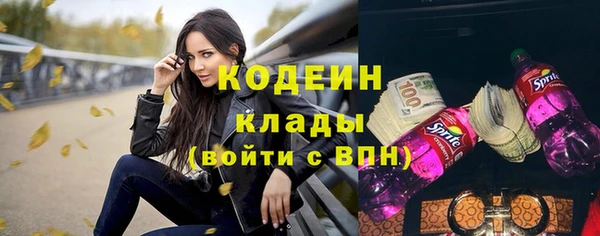 крисы Лагань