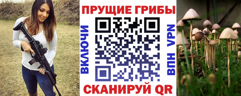 Купить где  Новый Уренгой  Псилоцибиновые грибы MAGIC MUSHROOMS 